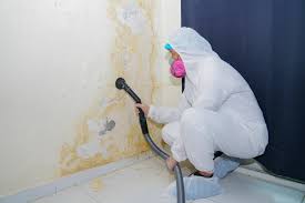 Mold Removal for HVAC Installations in Mineral Springs, NC